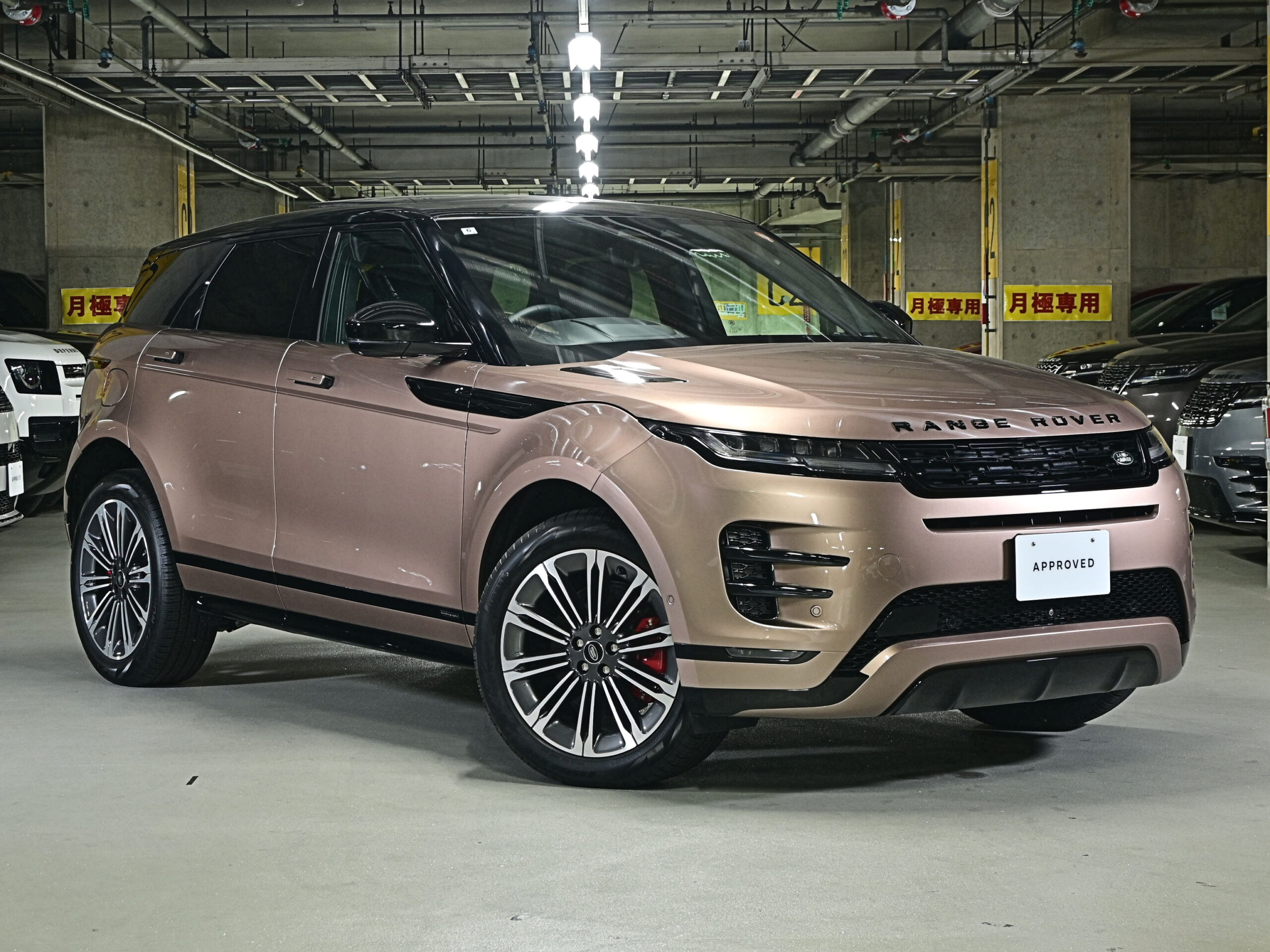 RANGE ROVER EVOQUE Autobiography P250