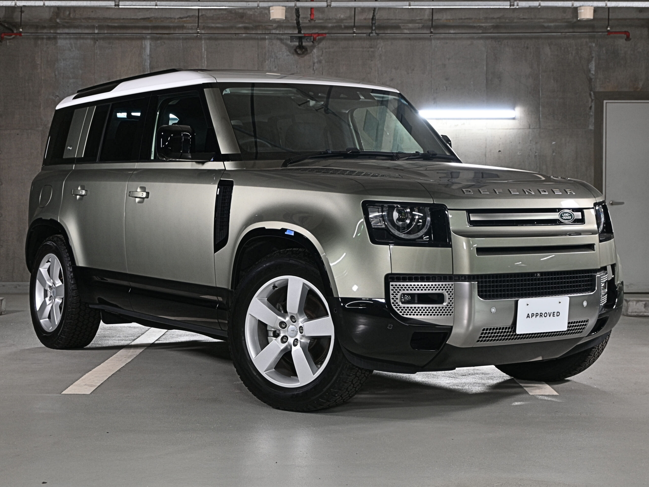 DEFENDER110 SE P300